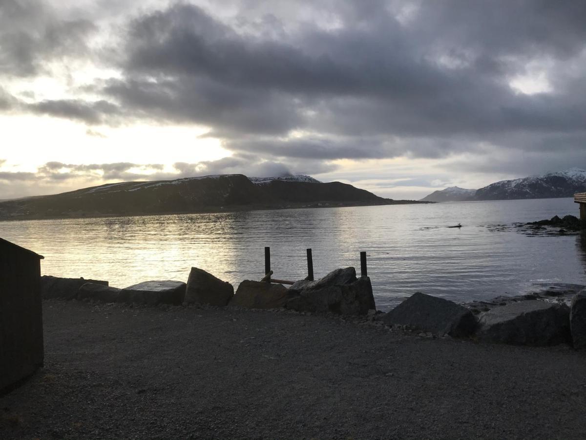 Lofoten Havfiske Leknes Exterior foto