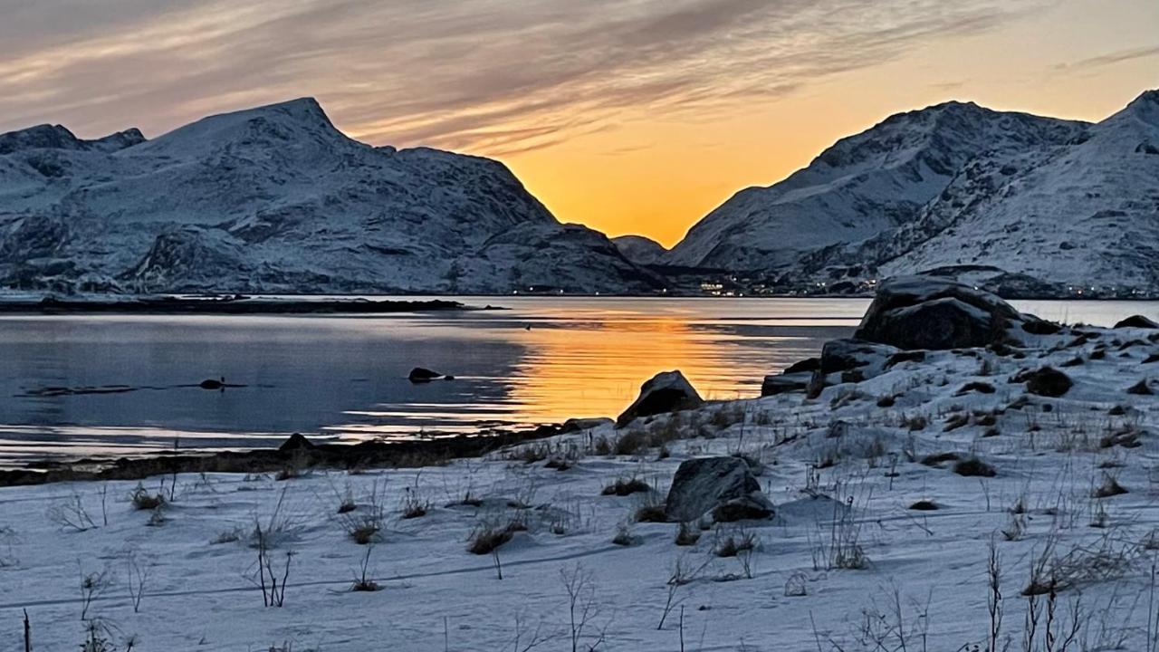 Lofoten Havfiske Leknes Exterior foto