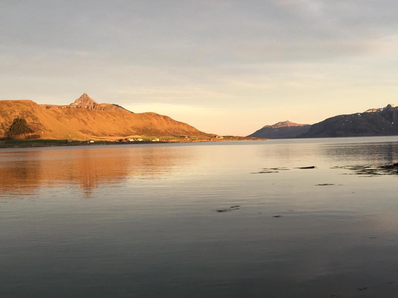 Lofoten Havfiske Leknes Exterior foto