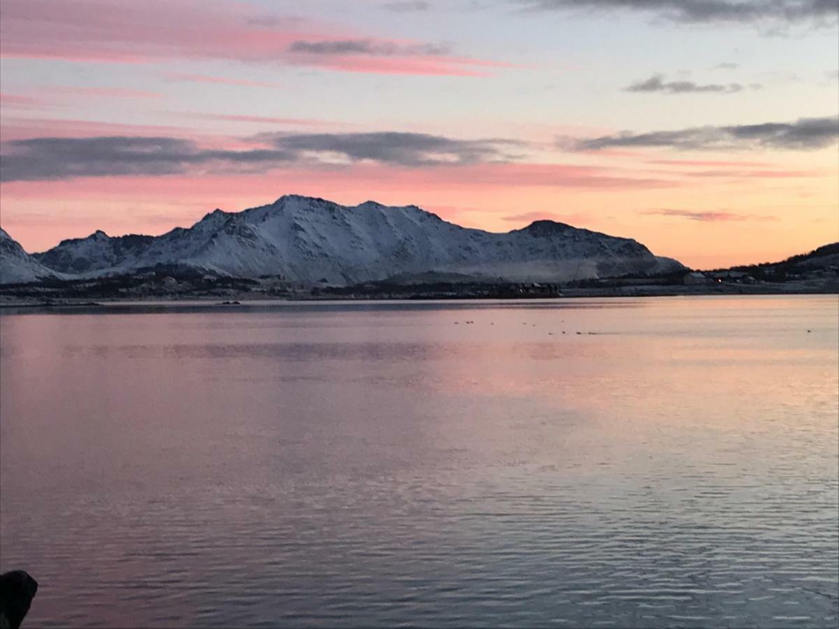 Lofoten Havfiske Leknes Exterior foto